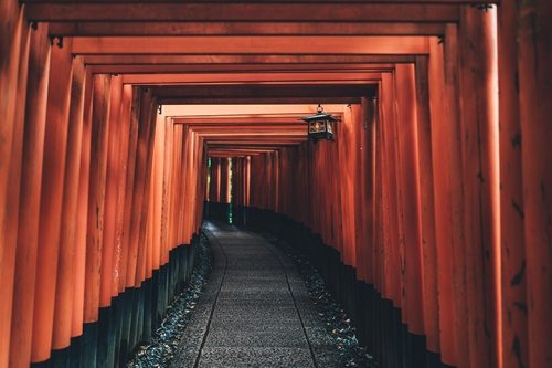 tianshu-liu-395929-unsplash