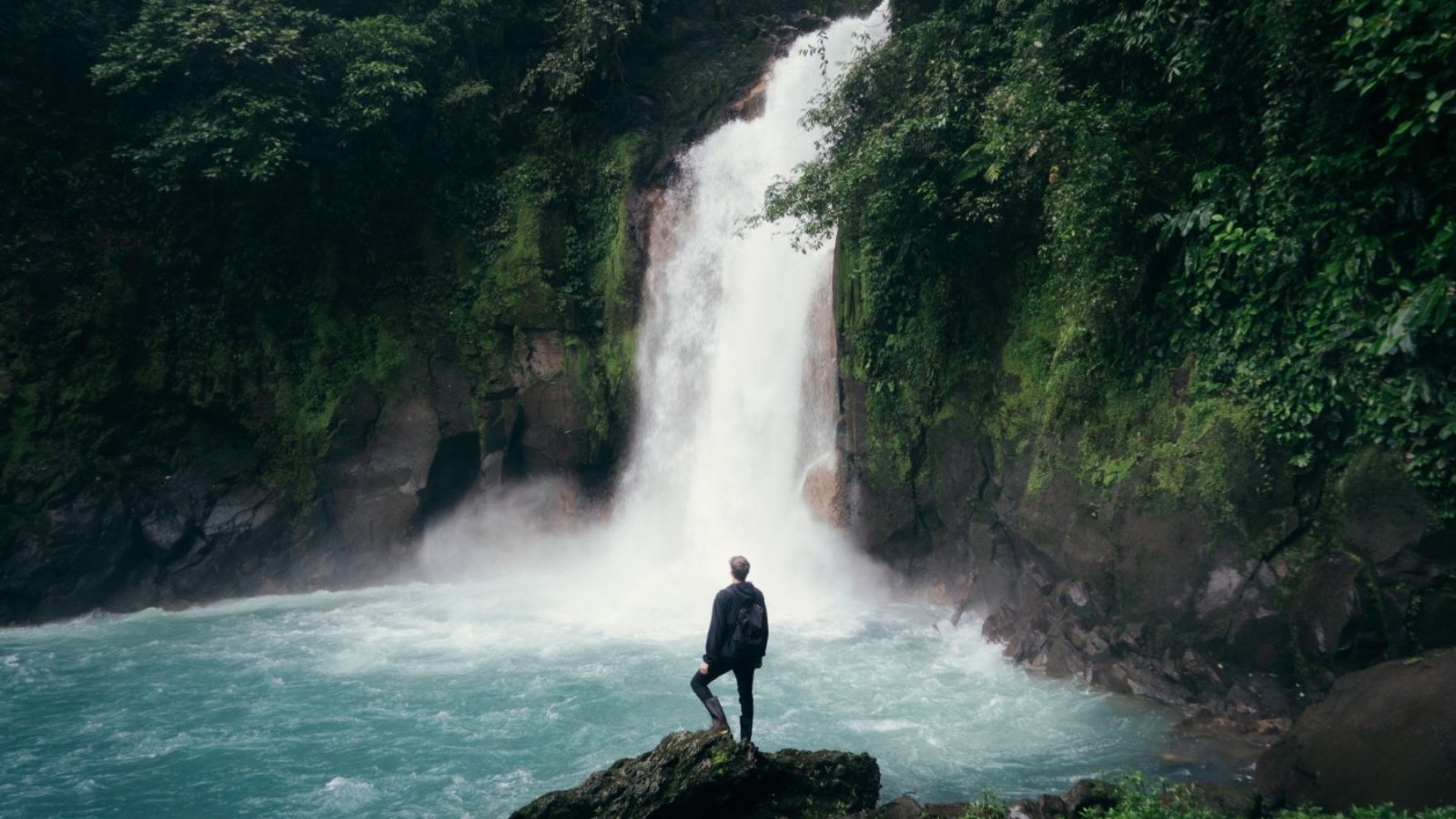 stefan-stefancik-0wMmxNB6Xzc-unsplash