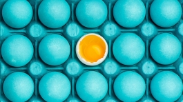 minimal-visual-art-design-with-eggs-PEHTYBQ