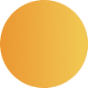 Vector - 2025-06-26T082519.992