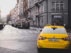 pexels-yurii-hlei-1324990