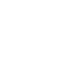 Vector (1)
