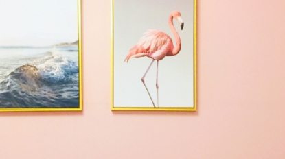 dan-7th-vGNVhp3HyCY-unsplash