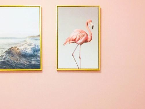 dan-7th-vGNVhp3HyCY-unsplash