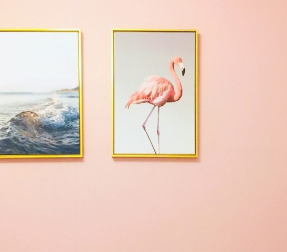 dan-7th-vGNVhp3HyCY-unsplash