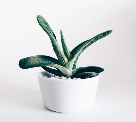 stephanie-harvey-vHkj3fX9wCk-unsplash