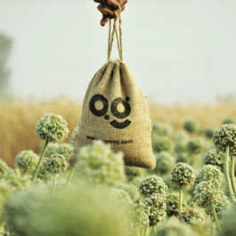 agrrro-organic-vArBGqX_EtY-unsplash 1 (1)