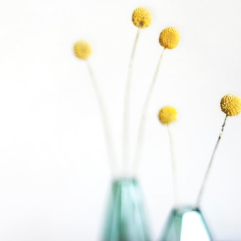 kari-shea-j0dw8kTxgmM-unsplash