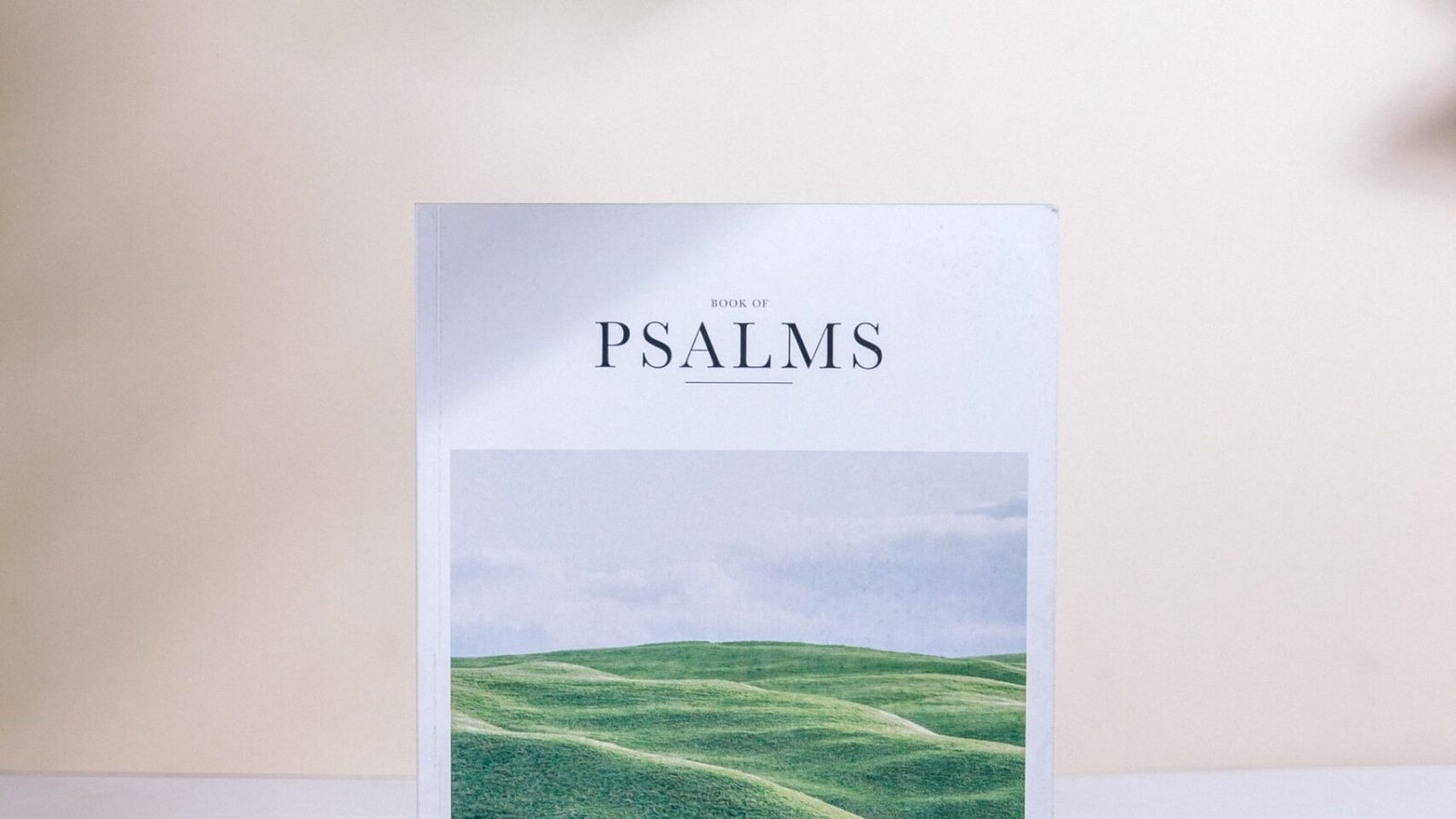 e531690f3015b151c357b379a3a06d46