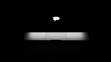 b526864a261fe513c11c49c9b66d6abe-1