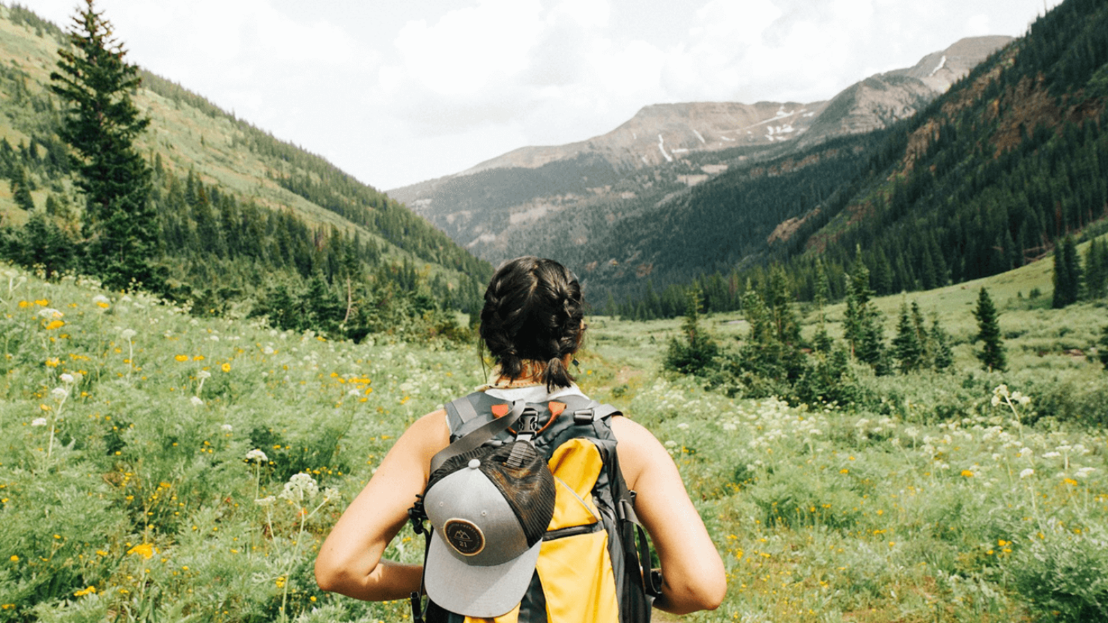 dave-hoefler-zN7wRrxXjik-unsplash-1-2
