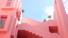 Rounded Rectangle 1 copy 23