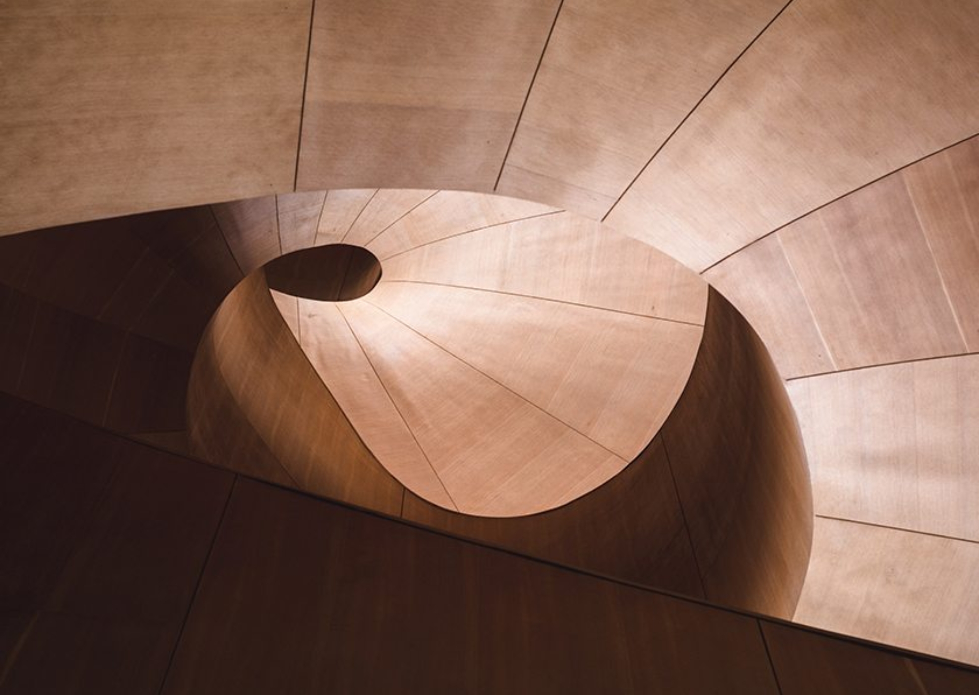 nick-hillier-aQcE3gDSSTY-unsplash