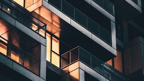 pexels-brayden-law-1829191