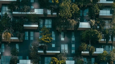 pexels-francesco-ungaro-4322027