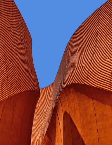 ricardo-gomez-angel-PzYiCWOHtfU-unsplash 1 (1)