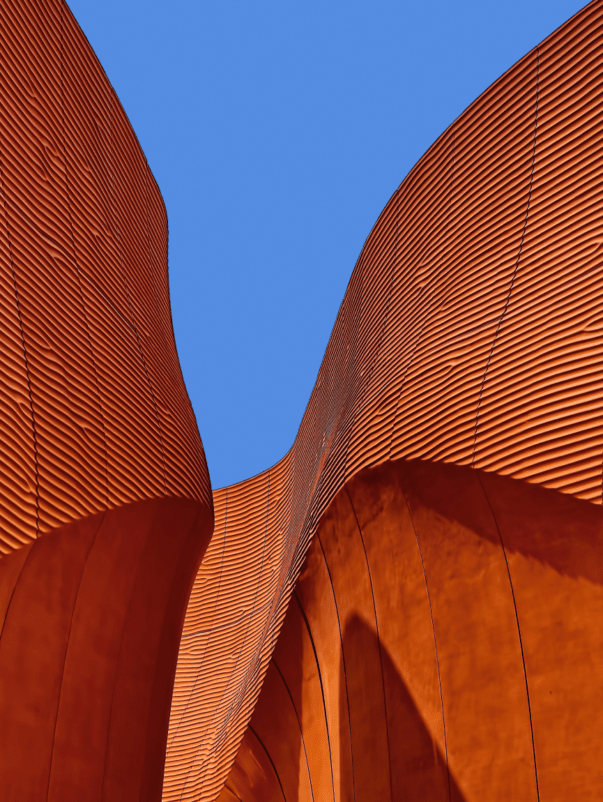 ricardo-gomez-angel-PzYiCWOHtfU-unsplash 1 (1)