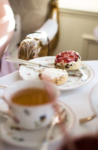 op_alysa-tarrant-ZQ6hwqe5bkA-unsplash