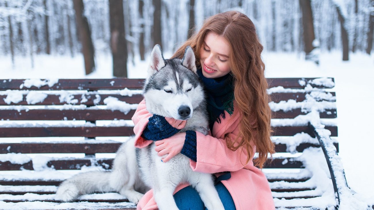 woman-sitting-on-the-bench-with-siberian-husky-PS9ZX58