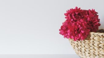 ina-soulis-227104-unsplash