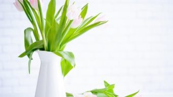 brooke-lark-210780@2x