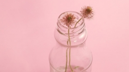 photo-1429679310900-bad303d0e63a (1)@2x