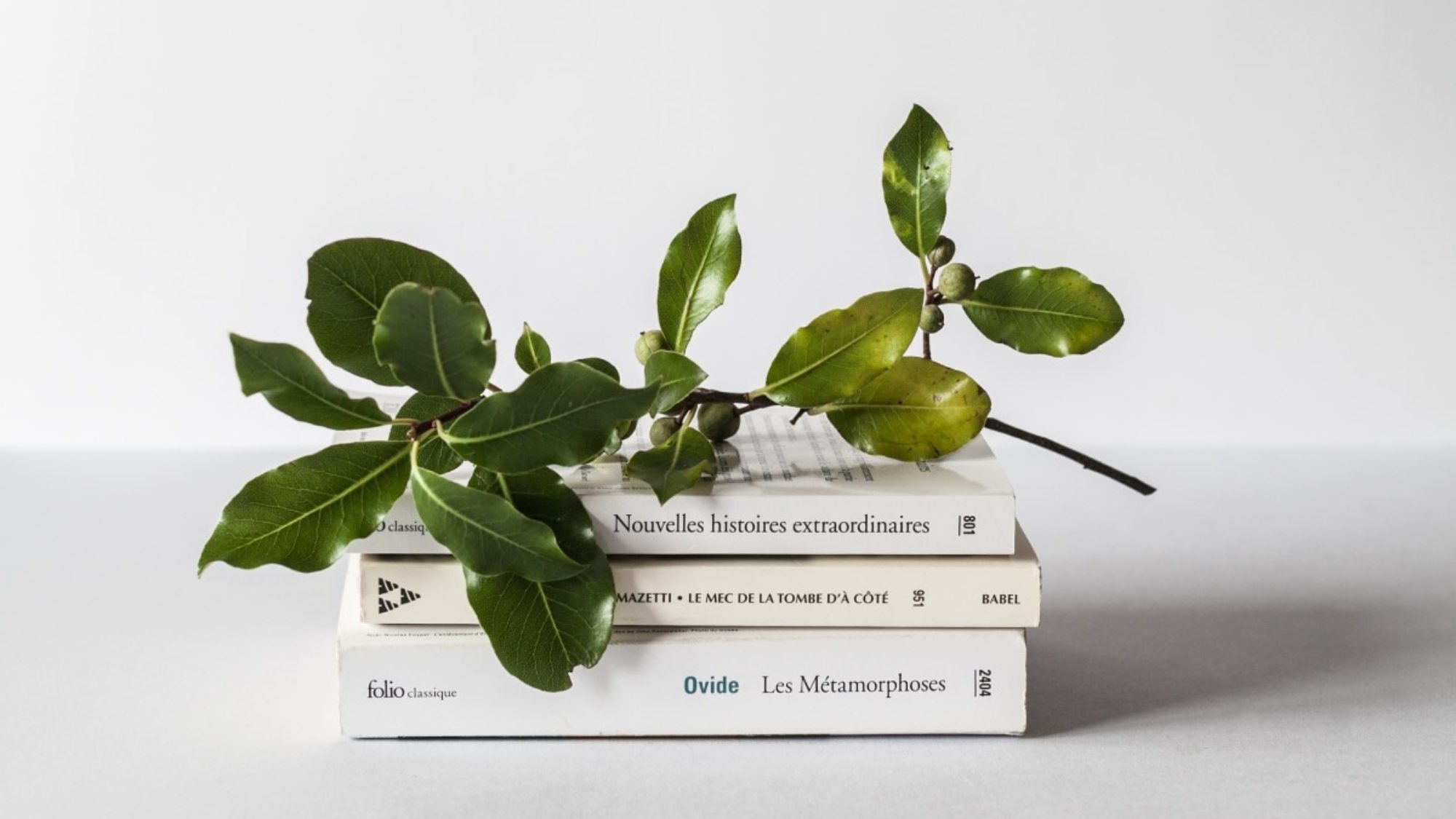 david-van-dijk-3LTht2nxd34-unsplash
