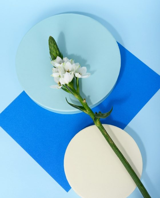 pexels-daria-liudnaya-7354669