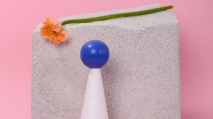 pexels-daria-liudnaya-7354801