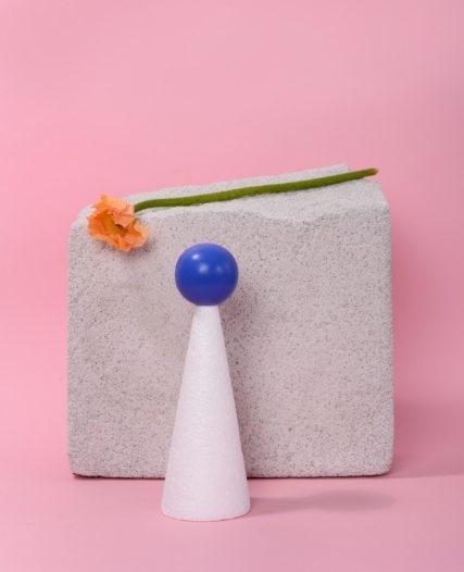 pexels-daria-liudnaya-7354801