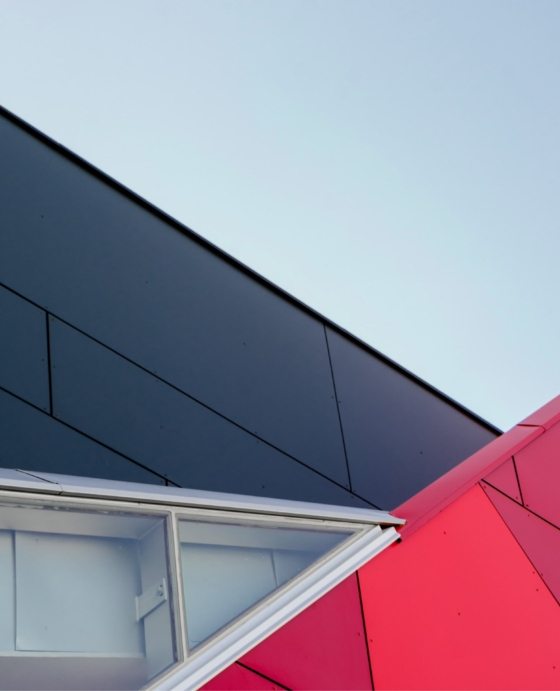 pexels-scott-webb-1029611-min