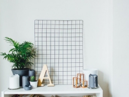 john-mark-arnold-223717-unsplash