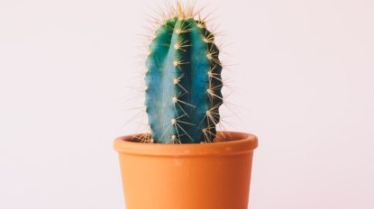 annie-spratt-fbAnIjhrOL4-unsplash-min