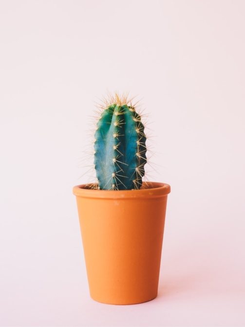 annie-spratt-fbAnIjhrOL4-unsplash-min