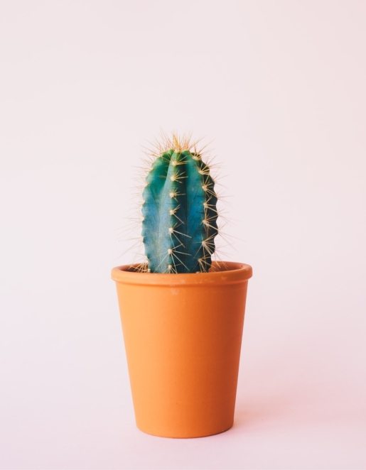 annie-spratt-fbAnIjhrOL4-unsplash-min