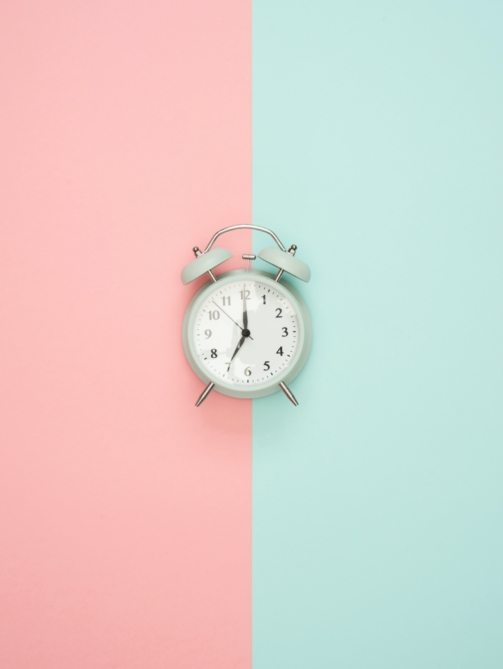 pexels-moose-photos-1037993