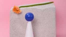 pexels-daria-liudnaya-7354801