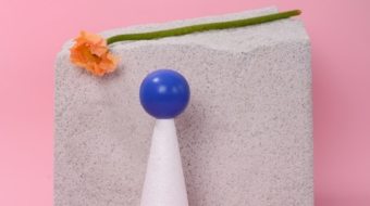 pexels-daria-liudnaya-7354801