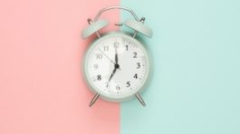 pexels-moose-photos-1037993