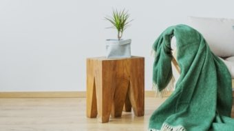 green-accents-in-the-interior-PAR9K65