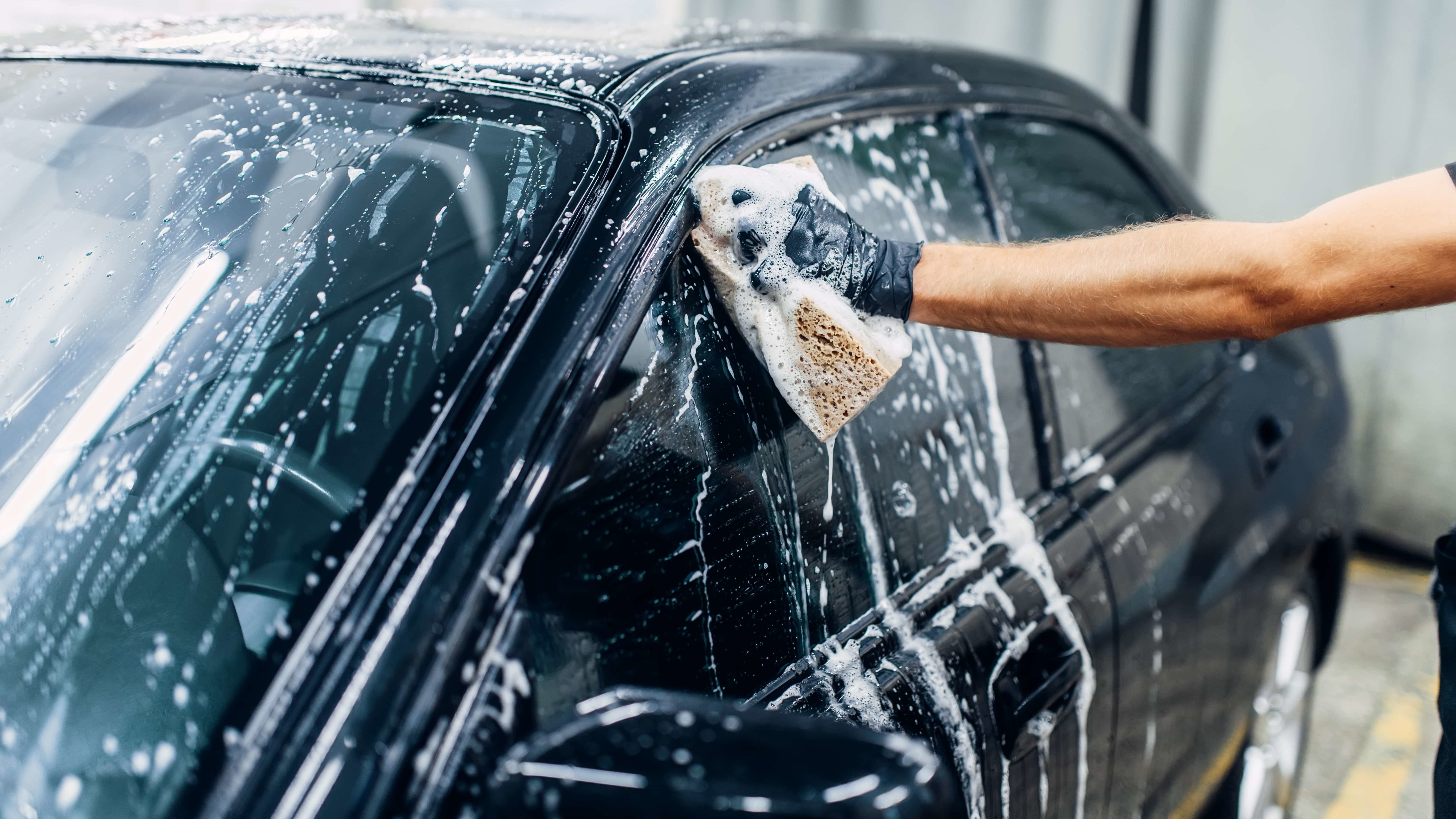 Wild Car Wash
