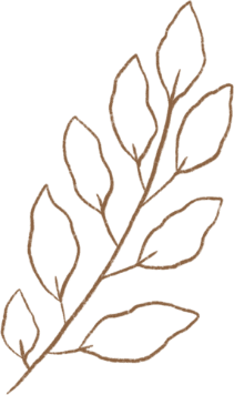 GOLDEN LEAF-1