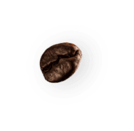 coffee-beans-P4MXYZD2