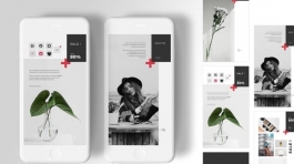 84316050-0af0-49db-a53a-241d47ddad0e