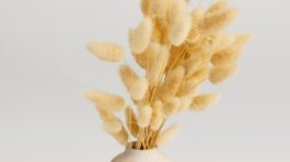 pexels-artem-podrez-4612458