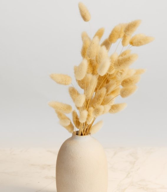 pexels-artem-podrez-4612458