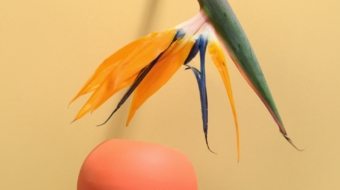 pexels-daria-liudnaya-7354422