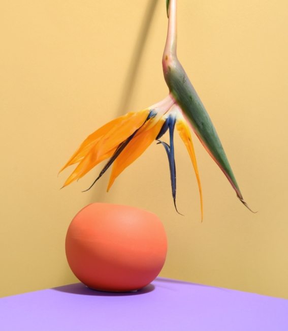 pexels-daria-liudnaya-7354422