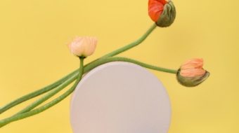 pexels-daria-liudnaya-7354444