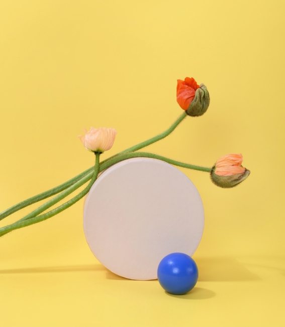 pexels-daria-liudnaya-7354444